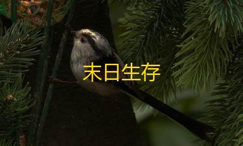 暗区突围直装辅助末日生存